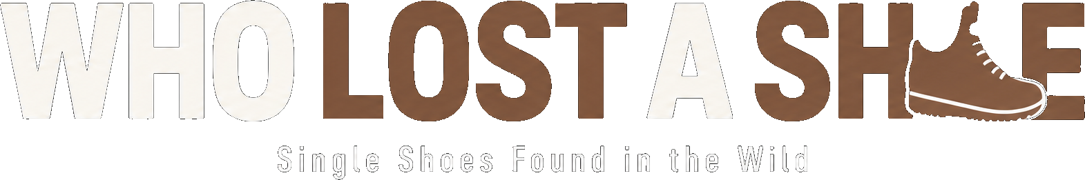 Who Lost a Shoe — single shoes found in the wild